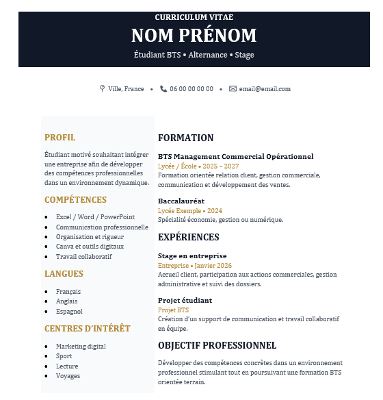 modèle CV : template word pour lauréats BTS et  DEUG/ DEUST