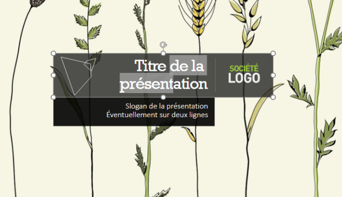 comment mettre une image en arrière plan dans powerpoint