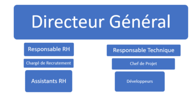Créer un organigramme Word étapes