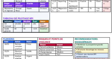 Compte rendu d'activité Word