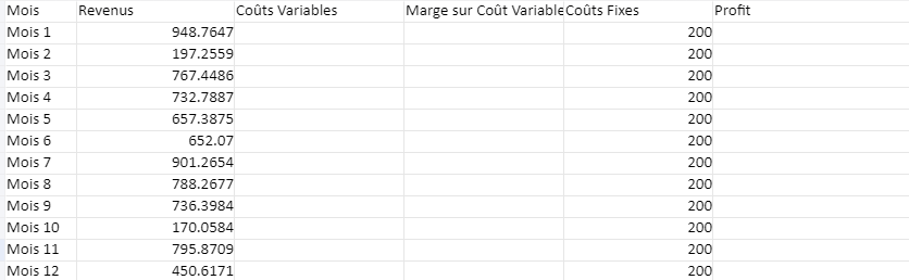 Modèle de Plan Commercial