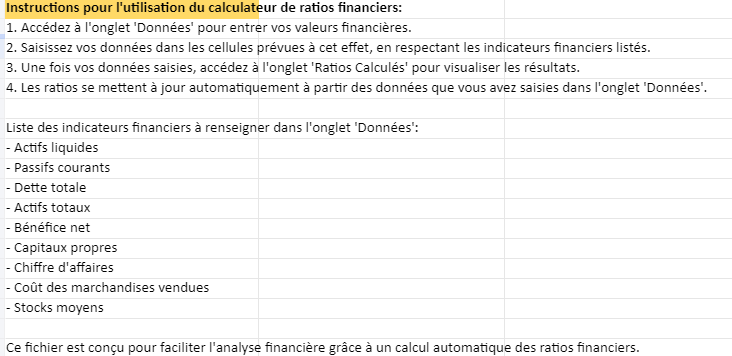 Calculateur de Ratios Financiers : automatisé et utilisable
