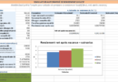 Simulateur de Rendement Locatif : Template Excel