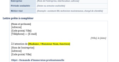 Modèle de Lettre de Demande d'Immersion Professionnelle Word