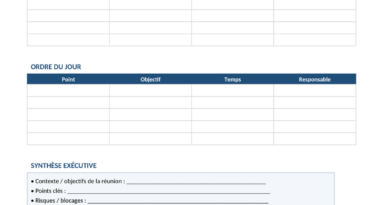 Template de Compte Rendu de Réunion Excel + Word