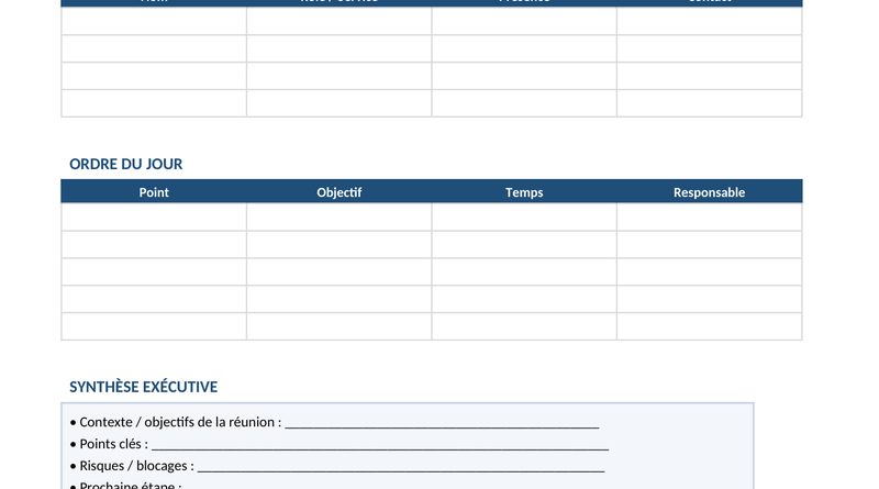 Template de Compte Rendu de Réunion Excel + Word