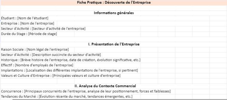 Découverte d'Entreprise : La Première Fiche d'Activité BTS MCO