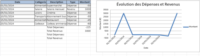 COHEALI Lot De 20 Feuilles De Papier Pour Carte De Budget, Plan De Trésorerie, Carte De Consommation, Papier Budgétaire Pour Une Utilisation Professionnelle, Planificateur D'argent, Carte De Suivi Des