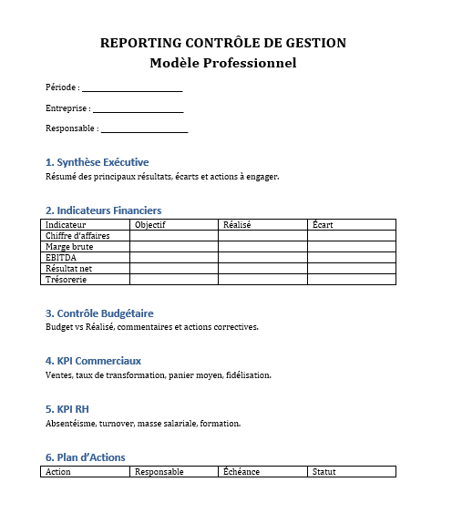 Reporting Contrôle de Gestion word