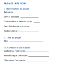 dossier-e6-bts-ndrc-exemple-fiche-e6-exemple-distributeur-ohydhc
