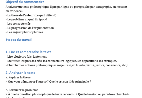 Plan de Dissertation Philosophique : Modèle Word à Remplir