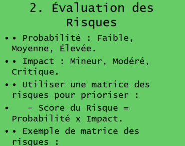 Structurer une Analyse des Risques : Modèle PPT
