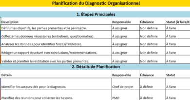 Diagnostic organisationnel