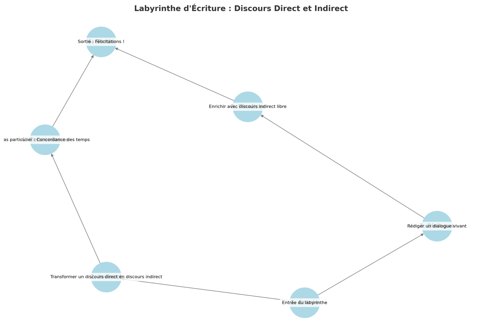 10 Exercices Avancés : Discours Direct et Indirect / Rédaction