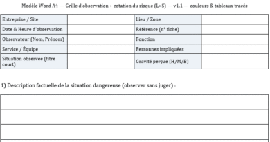 Fiche d'Observation et d'Analyse d'une Situation de Travail Dangereuse : Modèle Excel et Word