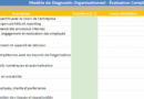 Modèle de Diagnostic Organisationnel dans Excel et Méthodologie