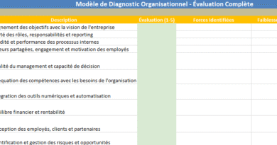 Modèle de Diagnostic Organisationnel dans Excel et Méthodologie