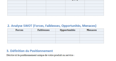 Stratégie marketing canevas word