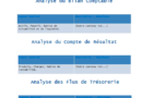 ✅ Rédaction d'un Document d’Analyse Financière d’une Entreprise