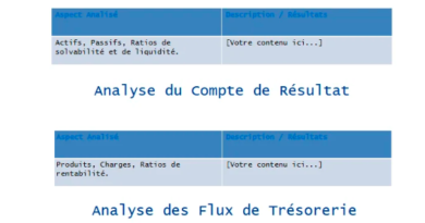 ✅ Rédaction d'un Document d’Analyse Financière d’une Entreprise