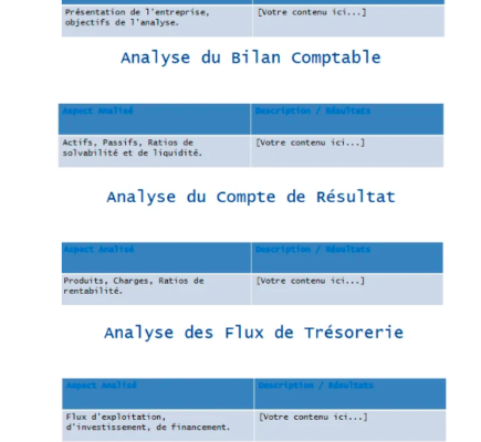 ✅ Rédaction d'un Document d’Analyse Financière d’une Entreprise