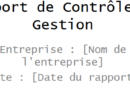Rapport de Contrôle de Gestion : Modèles Word et PPT