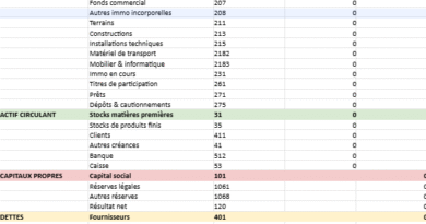 Mise en place d’un bilan comptable : Modèle automatisé prêt à être rempli
