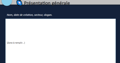 présentation d'entreprise PPT