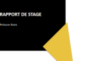 Tout Savoir sur Le rapport de stage : Plan, structure, rédaction, présentation sur powerpoint