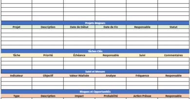 Feuille de Route Professionnelle