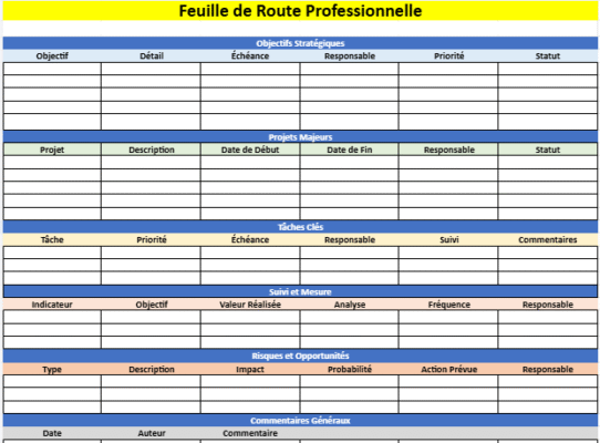Feuille de Route Professionnelle
