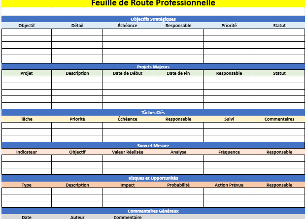 Feuille de Route Professionnelle