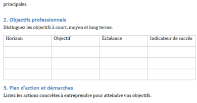 construire un projet professionnel canevas word