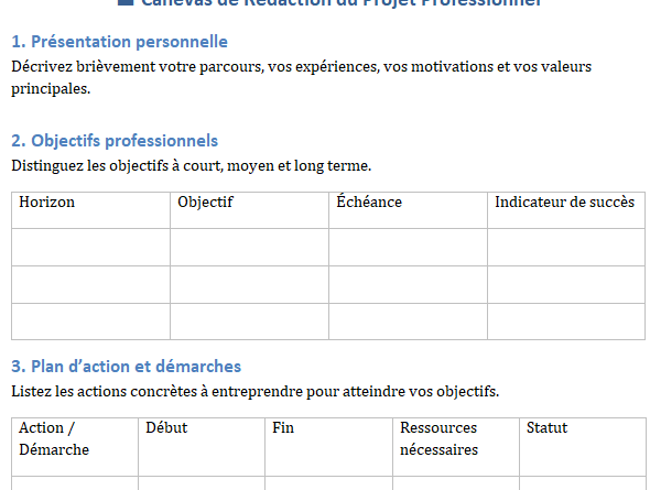 construire un projet professionnel canevas word