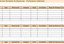 📘 Journal des Recettes et Dépenses pour Professions Libérales : Modèle Excel Interactif