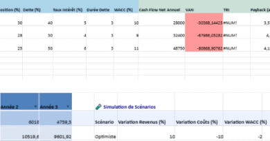 La rentabilité financière d’un projet : Modèle Excel Automatisé