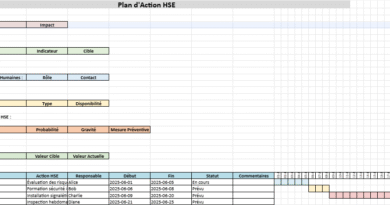 plan d'action HSE excel