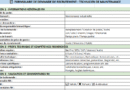 formulaire de demande de recrutement