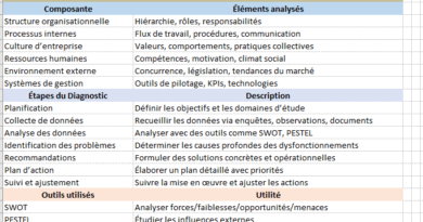 Modèle de Diagnostic Organisationnel Excel