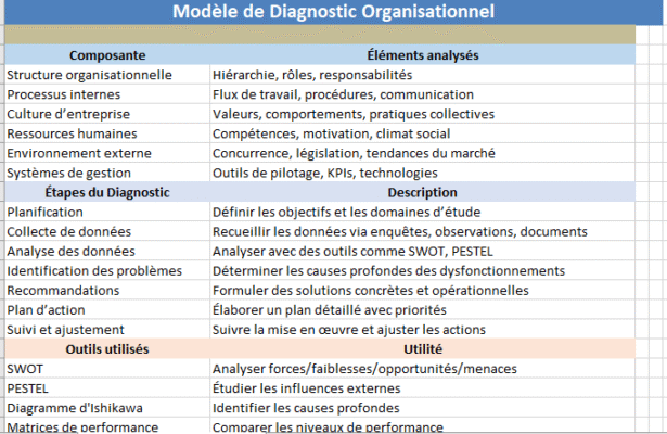 Modèle de Diagnostic Organisationnel Excel
