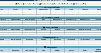 fiche synthétique de travail RH