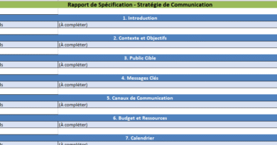 Rédiger un Rapport de Spécification – Stratégie de Communication