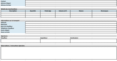 Ordre de Mission de Transport