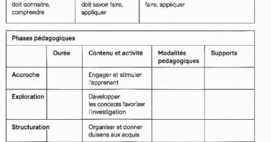 fiche de préparation pédagogique word