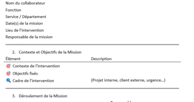 rapport de mission ponctuelle