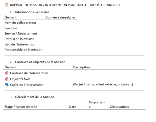 rapport de mission ponctuelle