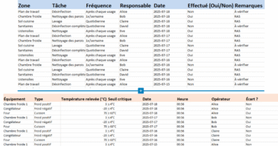 Guide Pratique : Mise en place des Normes HACCP en Cuisine Professionnelle + Modèle Excel