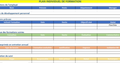 Plan Individuel de Formation
