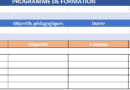 Modèle de programme de formation : structure, contenu + Exemples