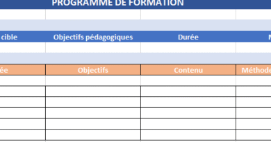 Modèle de programme de formation : structure, contenu + Exemples